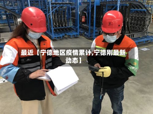 最近【宁德地区疫情累计,宁德刚最新动态】-第3张图片