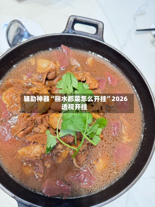 辅助神器“丽水都菜怎么开挂	”2026透视开挂-第2张图片