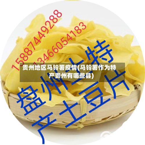 贵州地区马铃薯疫情(马铃薯作为特产贵州有哪些县)