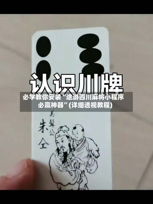 必学教你安装“途游四川麻将小程序必赢神器”(详细透视教程)-第2张图片