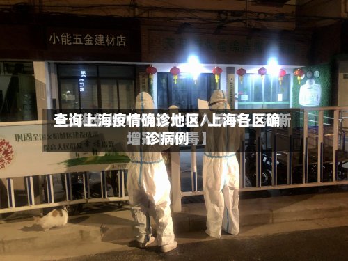 查询上海疫情确诊地区/上海各区确诊病例-第3张图片