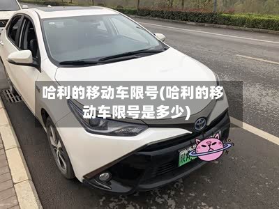 哈利的移动车限号(哈利的移动车限号是多少)-第3张图片