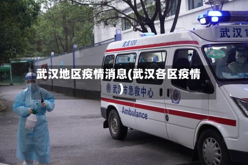 武汉地区疫情消息(武汉各区疫情)-第2张图片