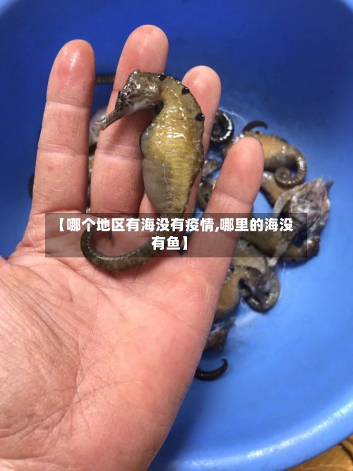 【哪个地区有海没有疫情,哪里的海没有鱼】-第2张图片
