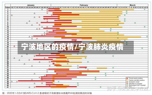 宁波地区的疫情/宁波肺炎疫情