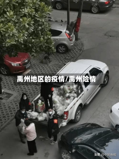 禹州地区的疫情/禹州险情