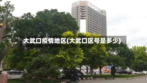 大武口疫情地区(大武口区号是多少)-第2张图片
