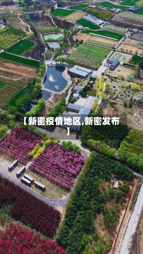 【新密疫情地区,新密发布】-第2张图片