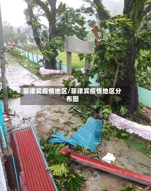 菲律宾疫情地区/菲律宾疫情地区分布图