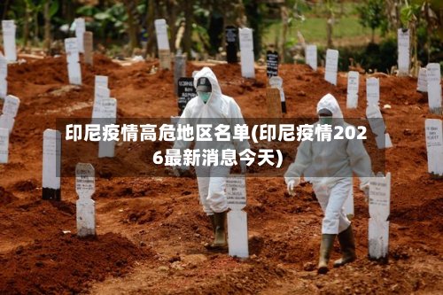 印尼疫情高危地区名单(印尼疫情2026最新消息今天)-第3张图片