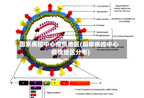 国家疾控中心疫情地区(国家疾控中心疫情地区分布)-第3张图片