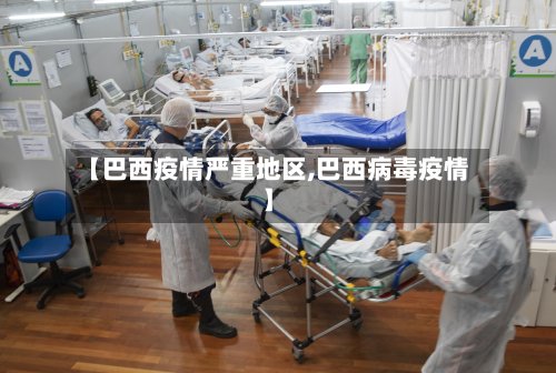 【巴西疫情严重地区,巴西病毒疫情】