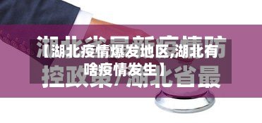 【湖北疫情爆发地区,湖北有啥疫情发生】-第3张图片