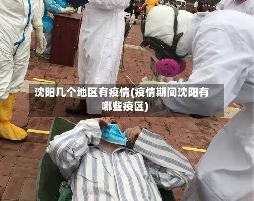 沈阳几个地区有疫情(疫情期间沈阳有哪些疫区)