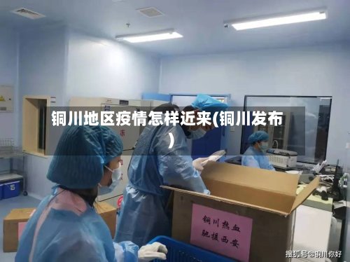 铜川地区疫情怎样近来(铜川发布)-第2张图片