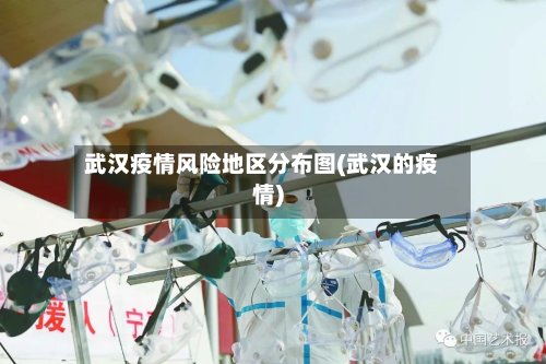 武汉疫情风险地区分布图(武汉的疫情)-第2张图片