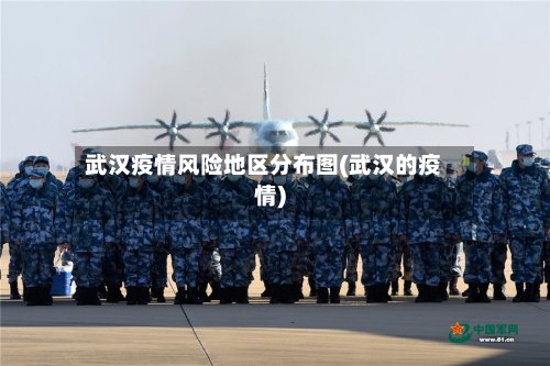 武汉疫情风险地区分布图(武汉的疫情)-第3张图片