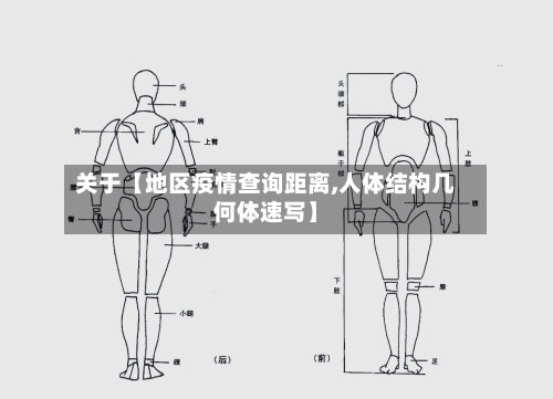 关于【地区疫情查询距离,人体结构几何体速写】