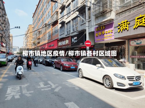 柳市镇地区疫情/柳市镇各村区域图
