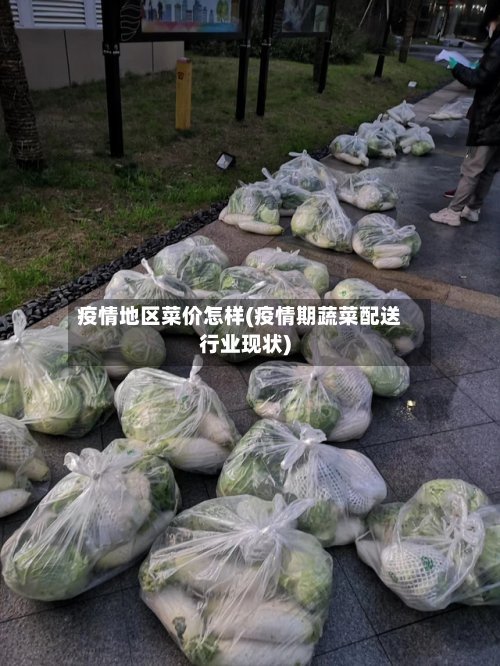 疫情地区菜价怎样(疫情期蔬菜配送行业现状)-第2张图片