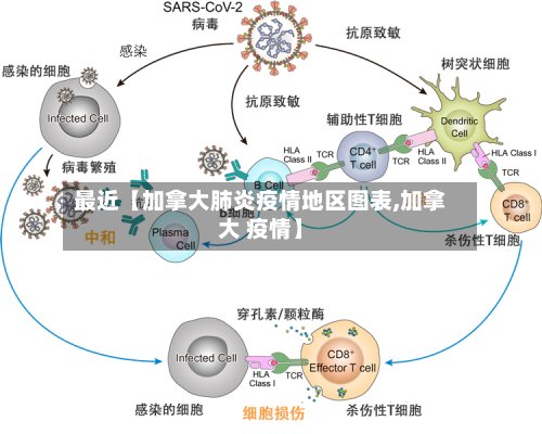 最近【加拿大肺炎疫情地区图表,加拿大 疫情】