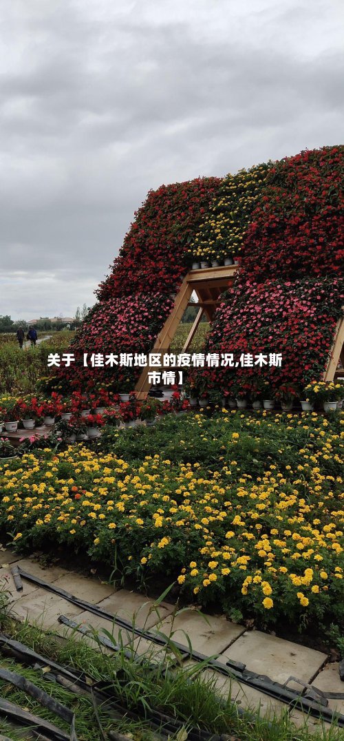 关于【佳木斯地区的疫情情况,佳木斯市情】