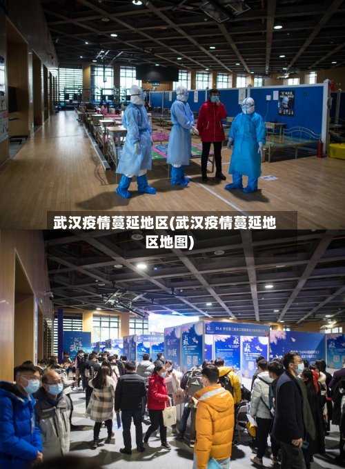 武汉疫情蔓延地区(武汉疫情蔓延地区地图)-第2张图片