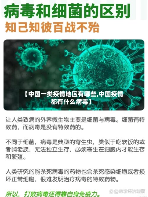 【中国一类疫情地区有哪些,中国疫情都有什么病毒】