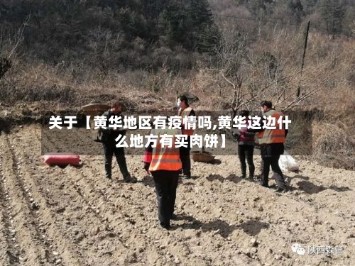 关于【黄华地区有疫情吗,黄华这边什么地方有买肉饼】