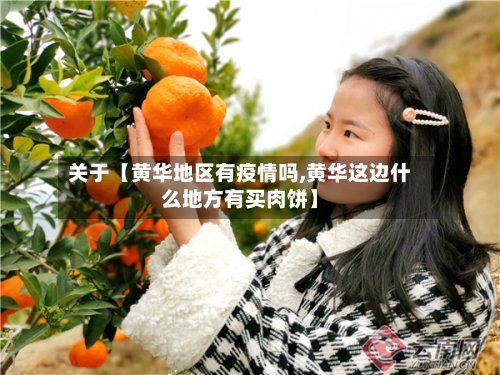 关于【黄华地区有疫情吗,黄华这边什么地方有买肉饼】-第2张图片