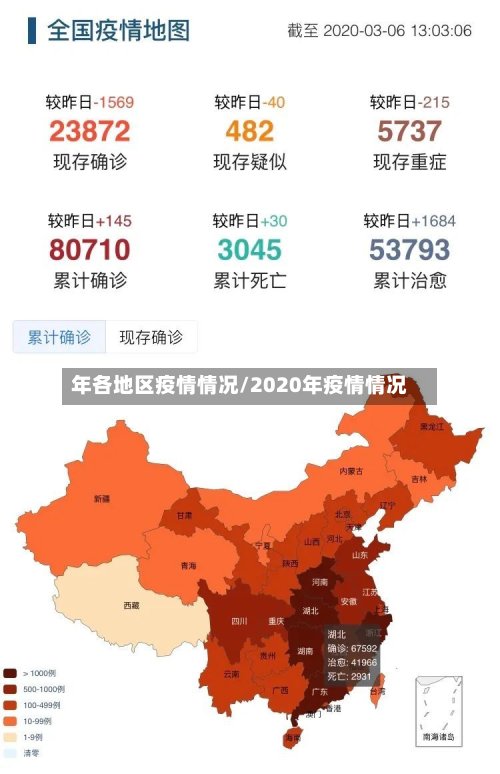 年各地区疫情情况/2020年疫情情况