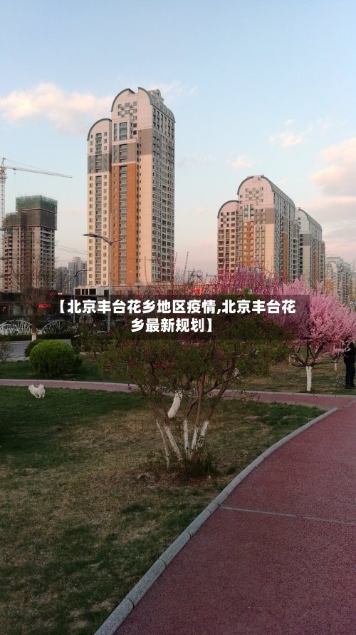 【北京丰台花乡地区疫情,北京丰台花乡最新规划】