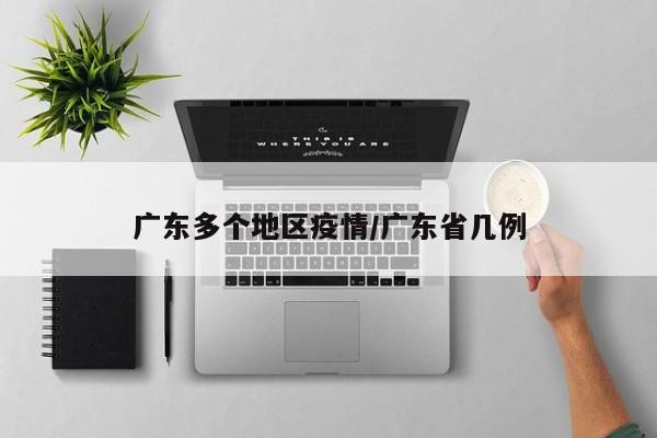 广东多个地区疫情/广东省几例