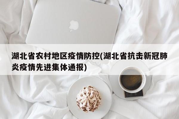 湖北省农村地区疫情防控(湖北省抗击新冠肺炎疫情先进集体通报)