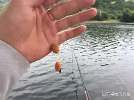 开挂技巧“水鱼天下金州水鱼辅助”(免费)开挂辅助教学(最新辅助开挂教程)