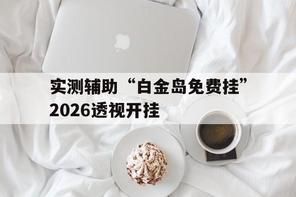 实测辅助“白金岛免费挂”2026透视开挂